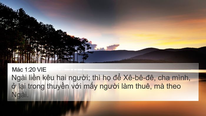Mác 1:20 VIE Bible Verse Image