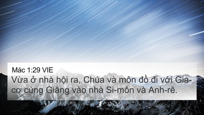 Mác 1:29 VIE Bible Verse Image