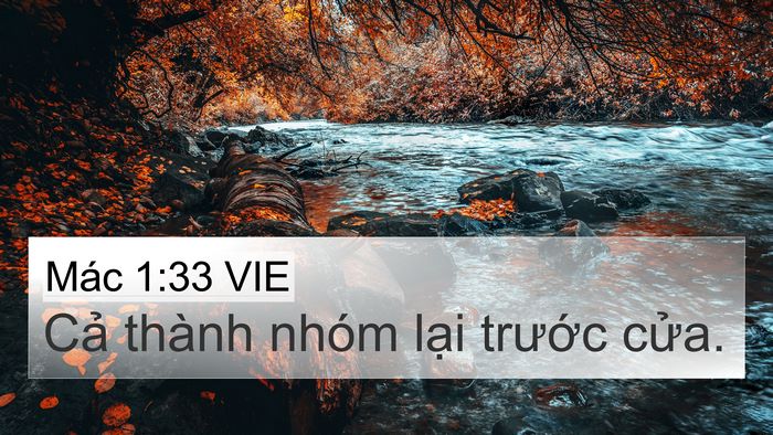 Mác 1:33 VIE 4K Wallpaper - Cả thành nhóm lại trước - 4K Wallpaper Bible Verse