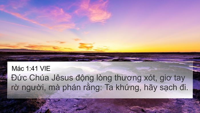 Mác 1:41 VIE Bible Verse Image