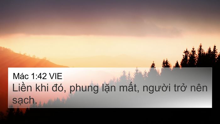 Mác 1:42 VIE 4K Wallpaper - Liền khi đó, phung lặn mất, người - 4K Wallpaper Bible Verse