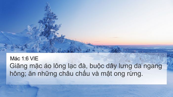 Mác 1:6 VIE Bible Verse Image