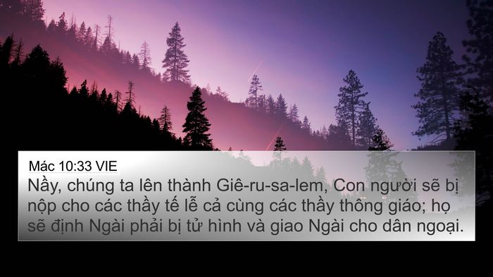 Mác 10:33 VIE Bible Verse Image