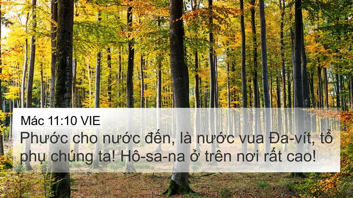 Mác 11:10 VIE Bible Verse Image