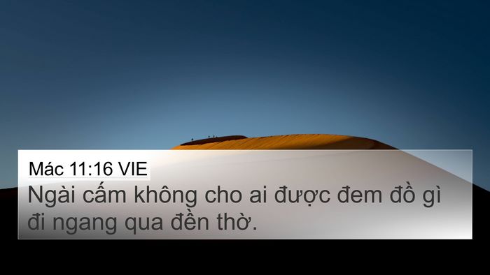 Mác 11:16 VIE 4K Wallpaper - Ngài cấm không cho ai được đem đồ gì - 4K Wallpaper Bible Verse