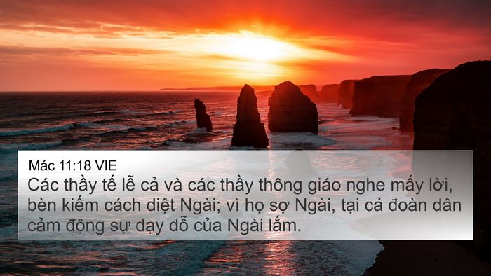 Mác 11:18 VIE Bible Verse Image