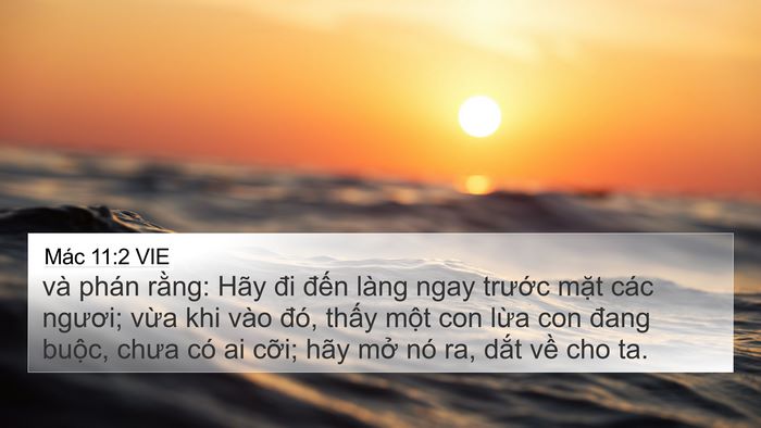 Mác 11:2 VIE Bible Verse Image