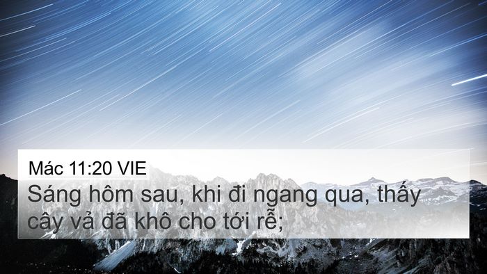Mác 11:20 VIE Bible Verse Image