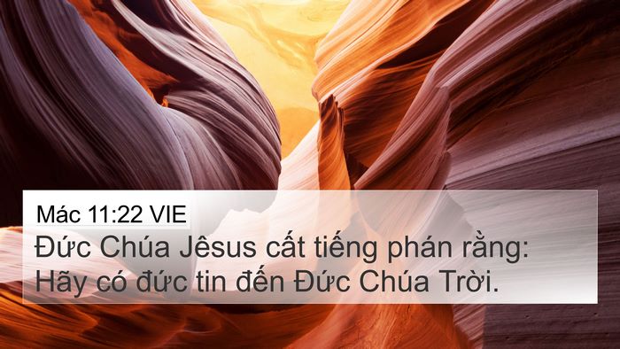 Mác 11:22 VIE Bible Verse Image