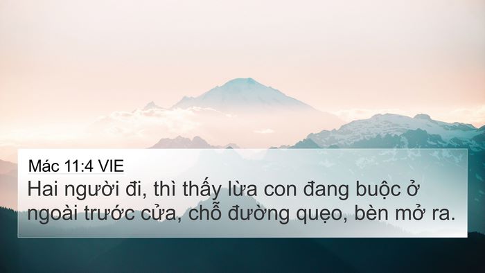 Mác 11:4 VIE Bible Verse Image