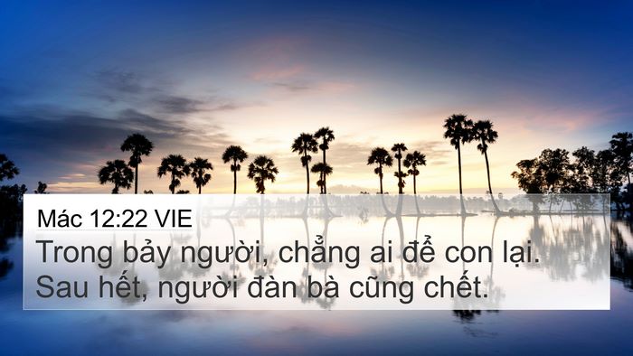 Mác 12:22 VIE 4K Wallpaper - Trong bảy người, chẳng ai để con lại. - 4K Wallpaper Bible Verse