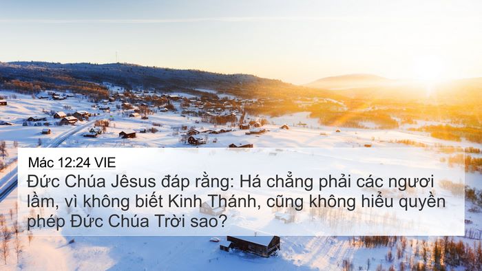 Mác 12:24 VIE Bible Verse Image