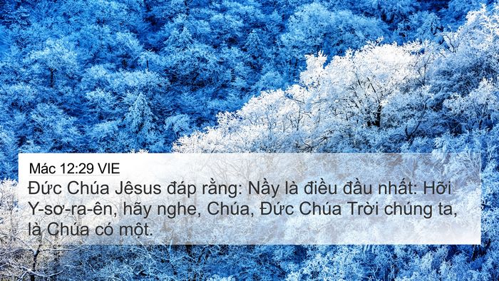 Mác 12:29 VIE Bible Verse Image