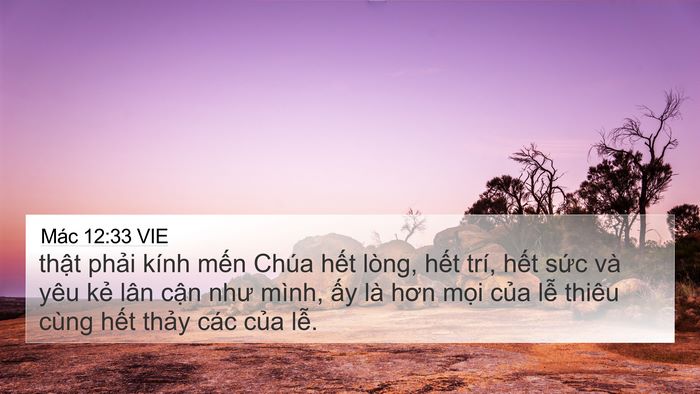 Mác 12:33 VIE Bible Verse Image