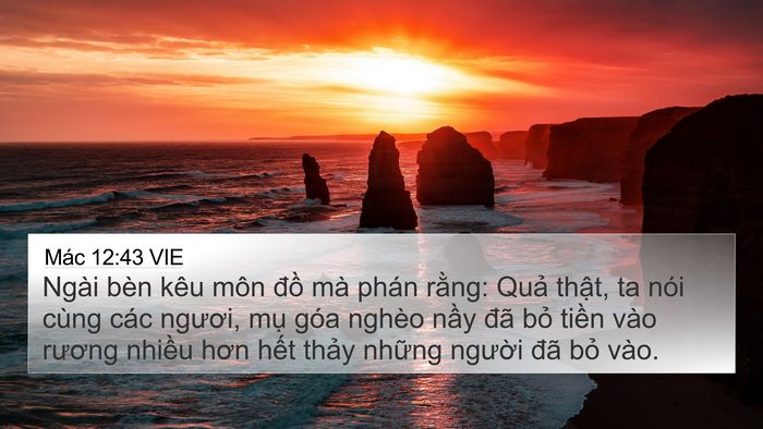 Mác 12:43 VIE Bible Verse Image