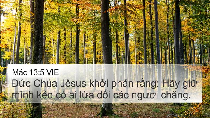 Mác 13:5 VIE Bible Verse Image