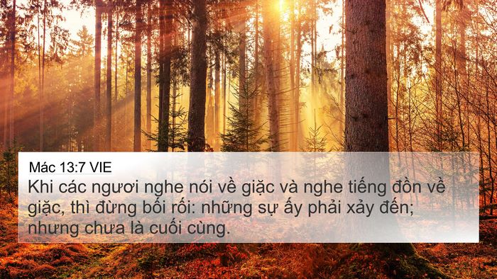 Mác 13:7 VIE Bible Verse Image