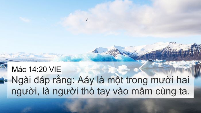 Mác 14:20 VIE Bible Verse Image