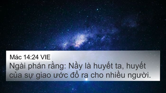 Mác 14:24 VIE Bible Verse Image