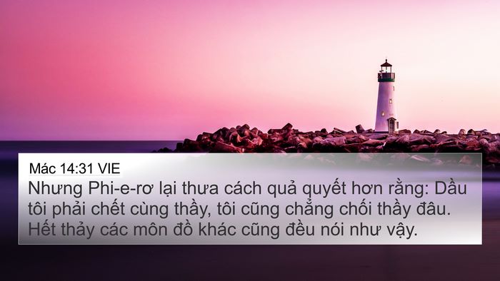 Mác 14:31 VIE Bible Verse Image