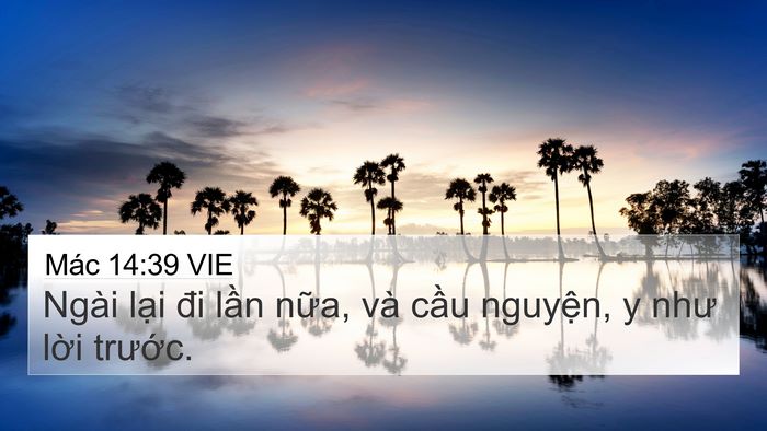 Mác 14:39 VIE Bible Verse Image
