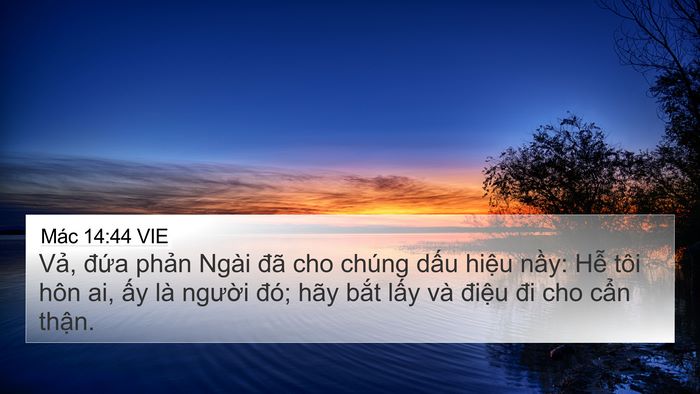 Mác 14:44 VIE Bible Verse Image