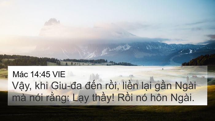 Mác 14:45 VIE Bible Verse Image