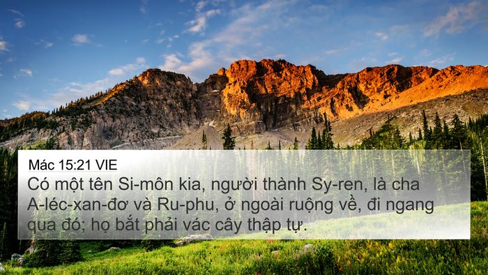 Mác 15:21 VIE Bible Verse Image