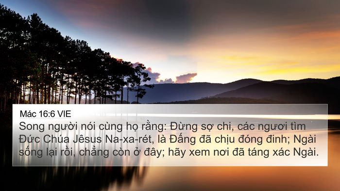 Mác 16:6 VIE Bible Verse Image