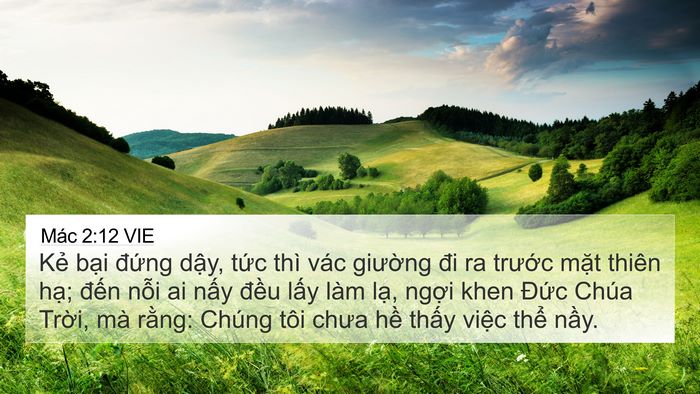Mác 2:12 VIE Bible Verse Image