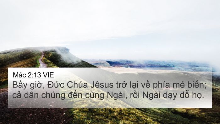 Mác 2:13 VIE Bible Verse Image