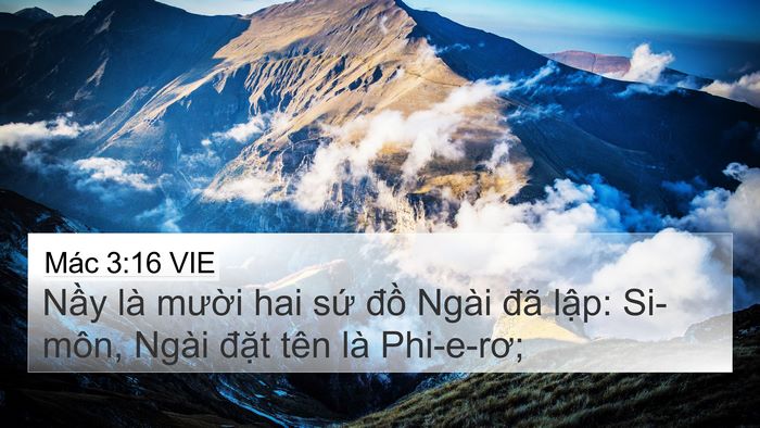 Mác 3:16 VIE Bible Verse Image