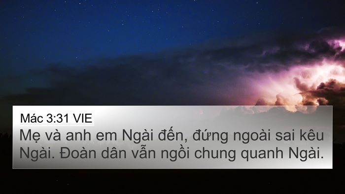 Mác 3:31 VIE Bible Verse Image
