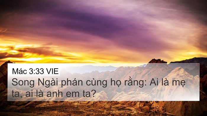 Mác 3:33 VIE Bible Verse Image