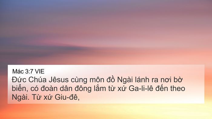 Mác 3:7 VIE Bible Verse Image