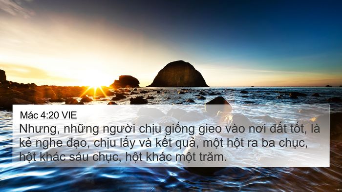 Mác 4:20 VIE Bible Verse Image