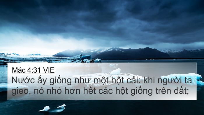 Mác 4:31 VIE Bible Verse Image