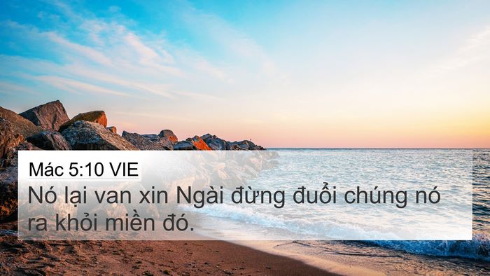 Mác 5:10 VIE Bible Verse Image