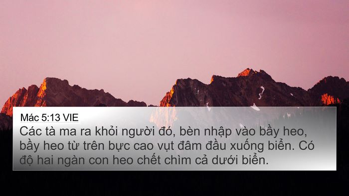 Mác 5:13 VIE Bible Verse Image