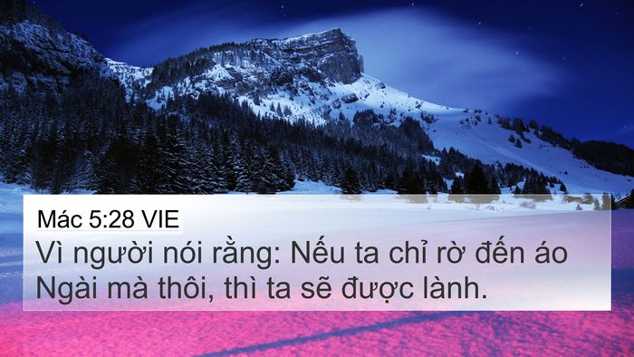 Mác 5:28 VIE 4K Wallpaper - Vì người nói rằng: Nếu ta chỉ rờ - 4K Wallpaper Bible Verse