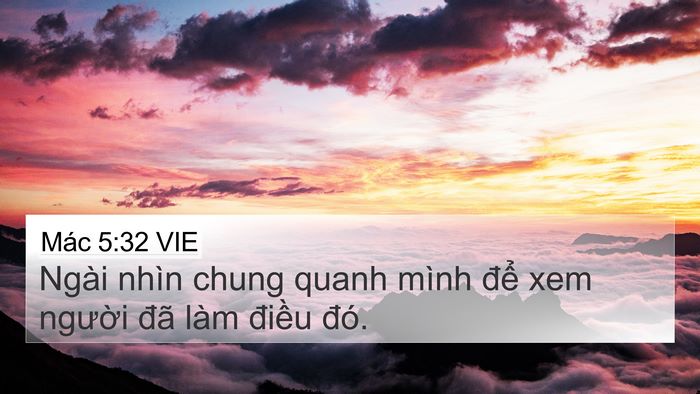 Mác 5:32 VIE Bible Verse Image