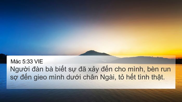 Mác 5:33 VIE Bible Verse Image