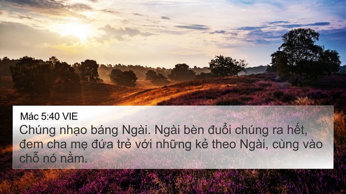 Mác 5:40 VIE Bible Verse Image