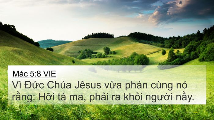 Mác 5:8 VIE Bible Verse Image