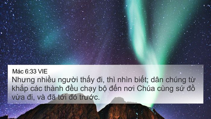 Mác 6:33 VIE Bible Verse Image