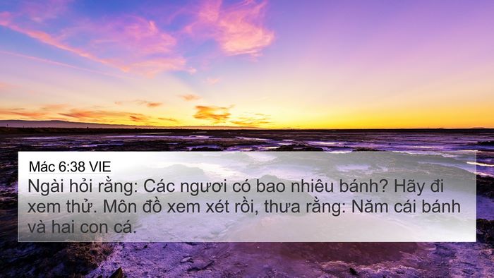 Mác 6:38 VIE Bible Verse Image