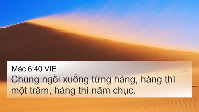 Mác 6:40 VIE 4K Wallpaper - Chúng ngồi xuống từng hàng, hàng thì - 4K Wallpaper Bible Verse