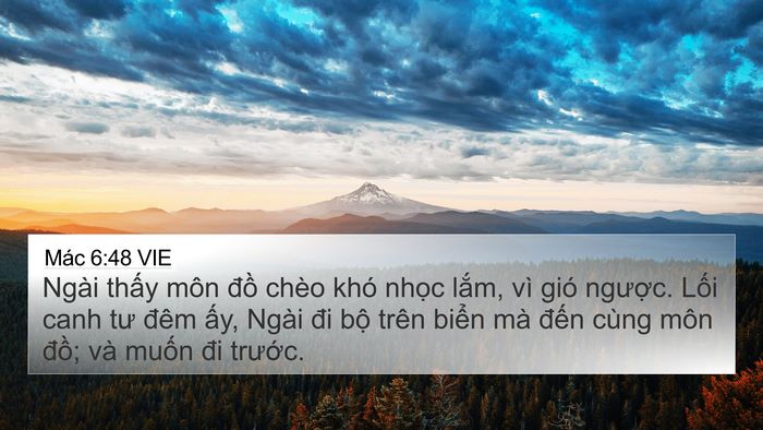 Mác 6:48 VIE Bible Verse Image