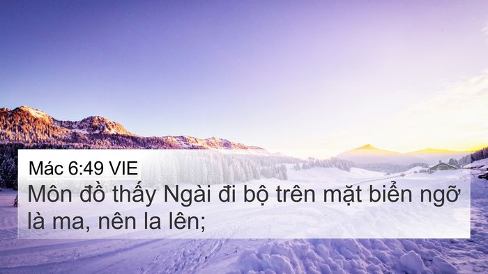 Mác 6:49 VIE Bible Verse Image