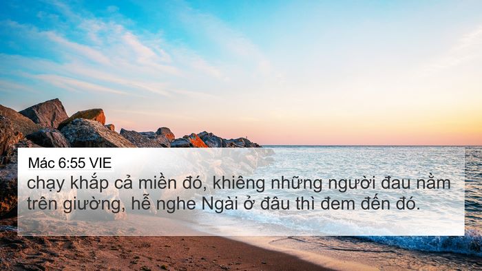 Mác 6:55 VIE Bible Verse Image